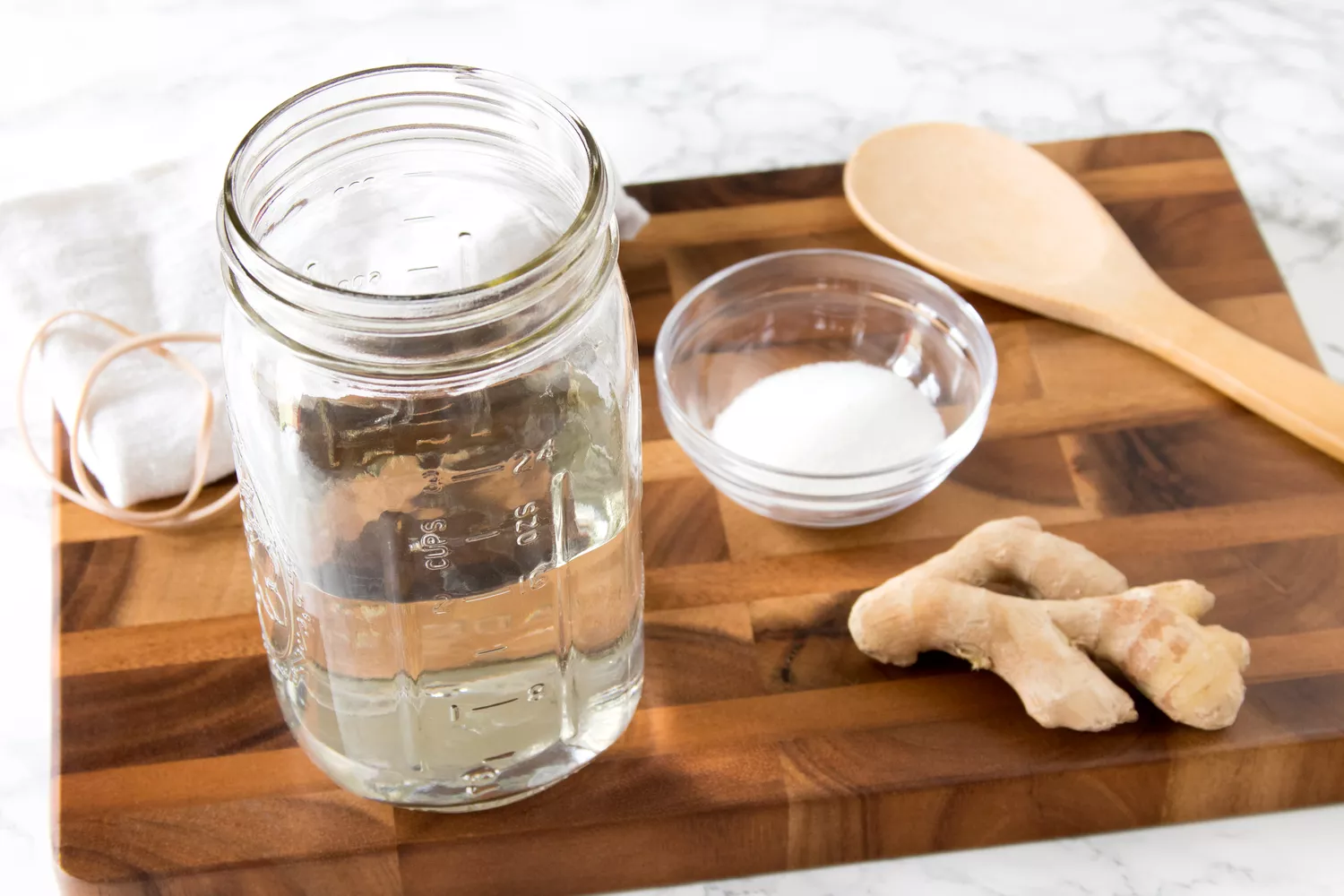 Ingrédients pour Ginger Bug